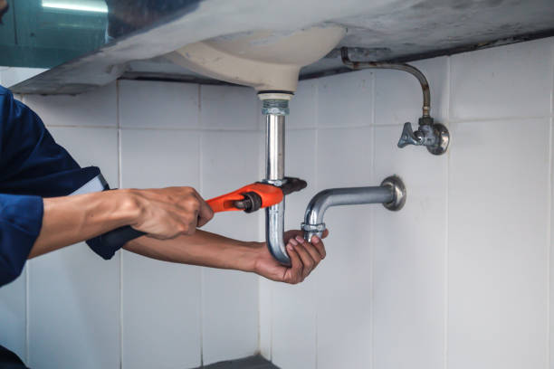 Best Affordable Plumbing Services  in Cresaptown, MD