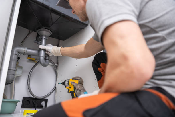 Best Local Plumber Services  in Cresaptown, MD